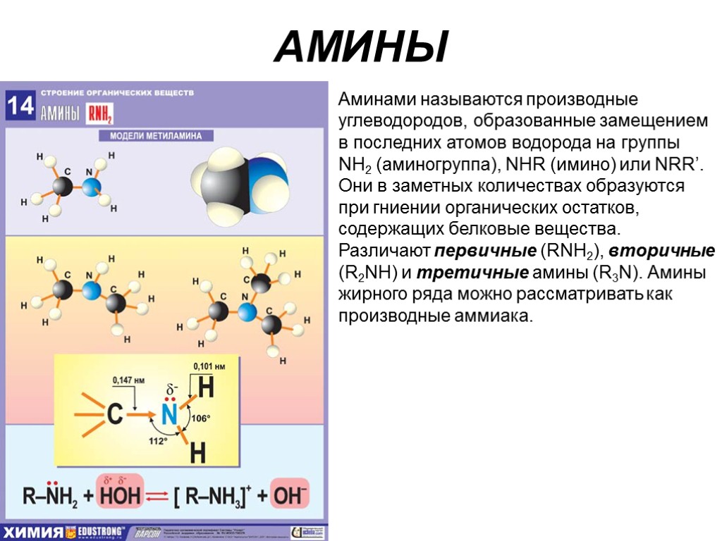 АМИНЫ Аминами называются производные углеводородов, образованные замещением в последних атомов водорода на группы NH2